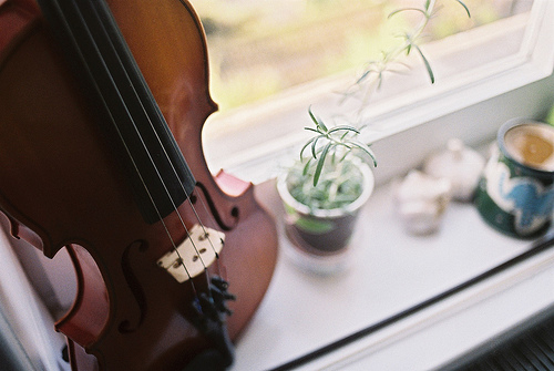 我只是不会表露我的热情_非主流意境QQ空间图片素材