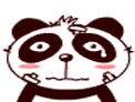 可爱的国宝熊猫微信表情