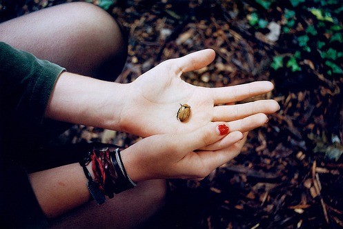 蝴蝶的美丽_唯美意境的QQ空间素材