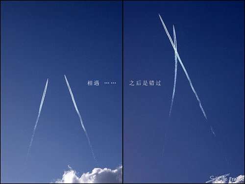 蝴蝶的美丽_唯美意境的QQ空间素材