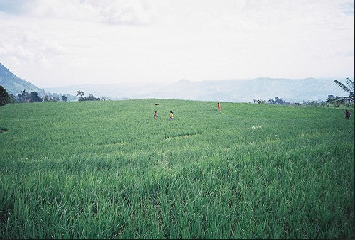 生活充满了迷人的美_风景题材的空间素材