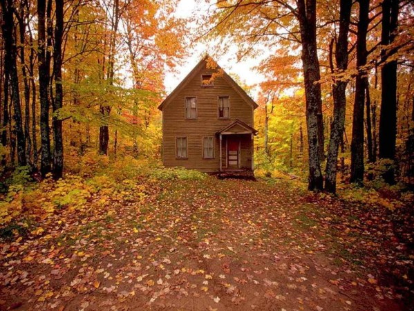 安静的欧美风格空间素材_安静的生活
