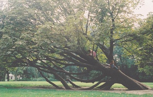 安静的欧美风格空间素材_安静的生活