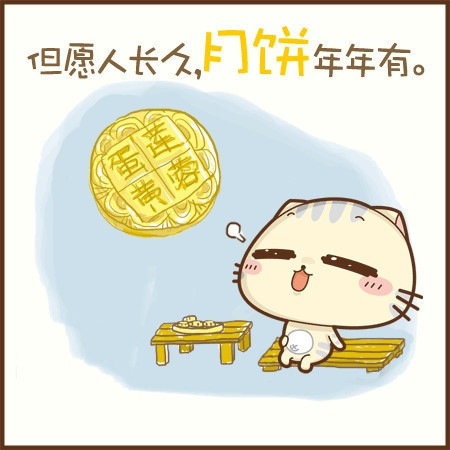 可爱的碎碎猫搞笑空间图片_初夏不减肥