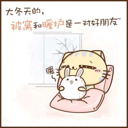 可爱的碎碎猫搞笑空间图片_初夏不减肥