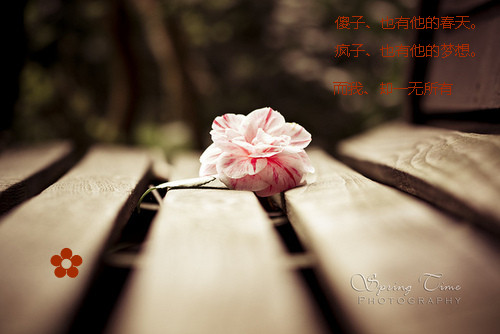 而我却一无所有_漂亮的文字贴图空间素材