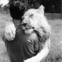 在爱情里面 我们只是开了个玩笑