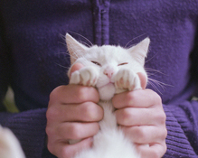 2022流行网名大全霸气张狂的 你就是嫉妒哀家比你美