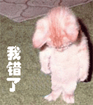 2022搞笑表情图片带字 搞笑微信表情包