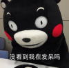日本萌熊高冷表情 kumamon文字表情