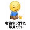 哄老婆专用表情包emjoy表情 老婆你说什么都是对的