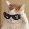 无情墨镜表情包大全 墨镜带字搞笑表情包