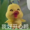 最近很火的微信鸭鸭表情包 小黄鸭表情包今天做自己