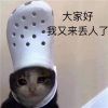 四处搜刮来的无水印滑稽表情包 你比冬天提前来了很幸运