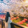 女生长发头像背影唯美图片大全 愿你听见我的名字时眉眼带笑