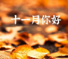 十一月请对我好点的心情语录 2023十一月你好经典短句