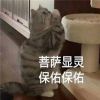精选很搞笑的表情包最新 很特别的表情合集