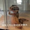 很好玩的表情值得分享 萌系优质的欢乐表情合集