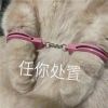 近期很热门的聊天表情包 什么档次让我加班