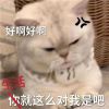 很受人喜欢的表情最新 为什么人要起床哇