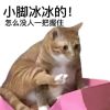 很荒谬的好笑表情最新版 够好笑的好玩表情