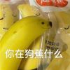 很有快乐感的表情热门 你在狗蕉什么