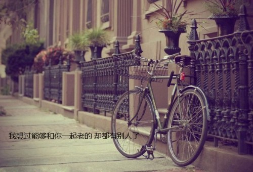 意境文字非主流宁静QQ空间图片