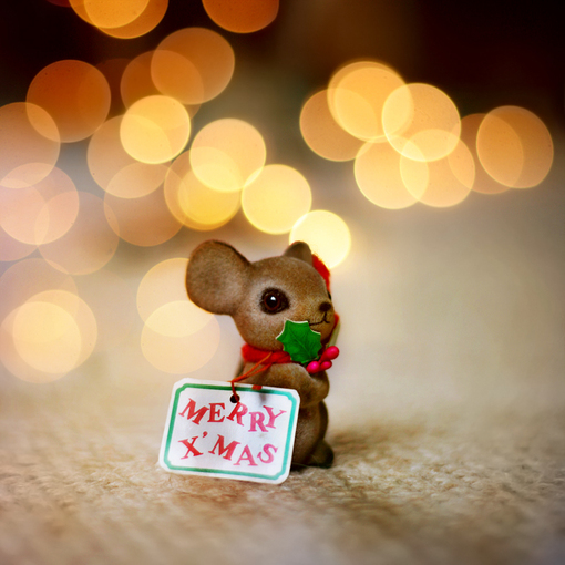 点击图片可在新窗口打开 510×510