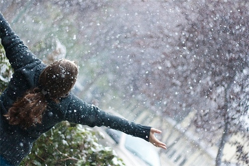 点击图片可在新窗口打开 500×334