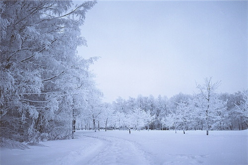 点击图片可在新窗口打开 500×334