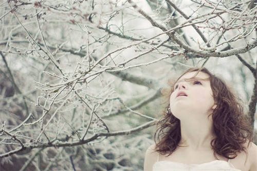 点击图片可在新窗口打开 500×334