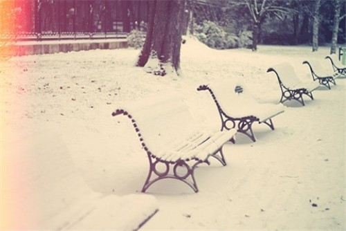 点击图片可在新窗口打开 500×334