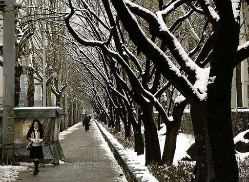 摇曳在午夜里的霓虹_唯美小窝雪景QQ空间图片素材