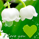 可爱韩版卡通头像