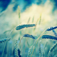 高清的卡通QQ头像