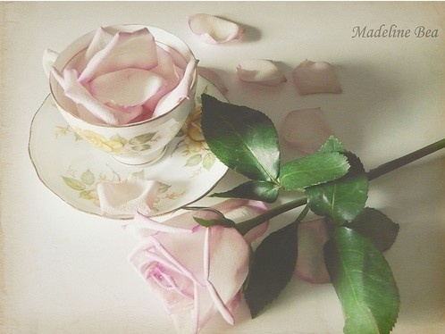 我舍不得睁开眼睛_如花似酒的唯美意境QQ空间图片素材