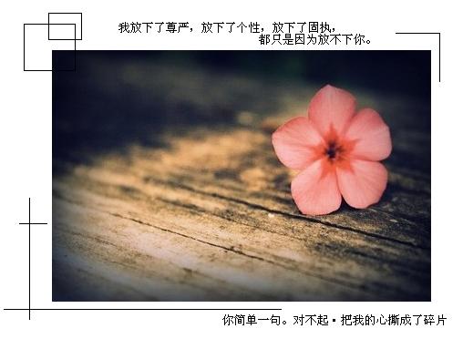 现在的我依然懒散_唯美好看的QQ空间签名图片素材