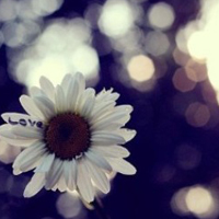 唯美QQ空间头像