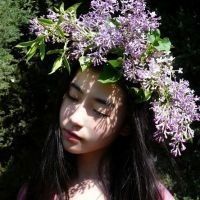 女生签名唯美小清新关于爱情 情书不过寥寥几笔爱你如何名状