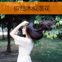 微信头像女生唯美小清新带字 将我宠成女王后来却说喜欢灰姑娘