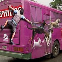 2022个性搞笑微信空间创意图片 把思念抽离出自己的脑海