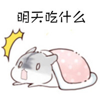 仓鼠可爱表情包之一日三餐 每天都会纠结的事情