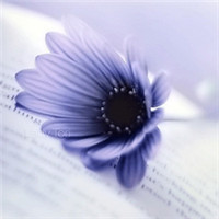 高清唯美花朵意境图片头像大全 晚风吹散了酒坛的余香