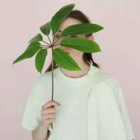 欧美女生阳光自信头像大全精选 存在你消失的气息