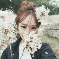 2022最新女生唯美微信个性签名大全 我从森林深处里来缓缓走向你