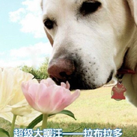 汪星人的真实身份搞笑汪星人图片大全可爱 说出来你可能不信