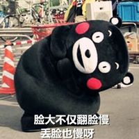 熊本熊聊天搞笑表情包 脸小怕你们看不清楚