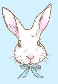 卡通简单的微信个性皮肤最新版设计 如果要走请带着这壶老酒