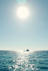 风景优美的微信空间皮肤 失去了眉清目浅的模样