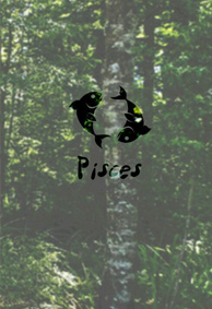 星座意境微信皮肤2022 瞧你说爱我的样子多虚伪